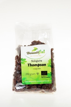 BOUNTIFUL ROZIJNEN THOMPSON BIO 250GR